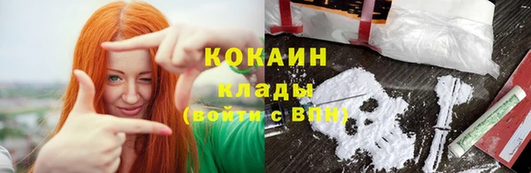сатива Иннополис