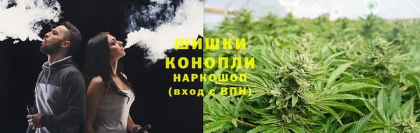 дживик Инта