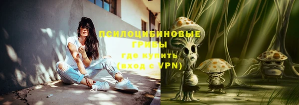 сатива Иннополис