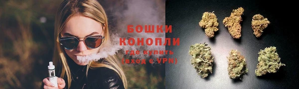 сатива Иннополис