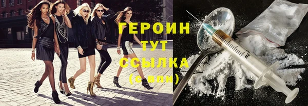 дживик Инта