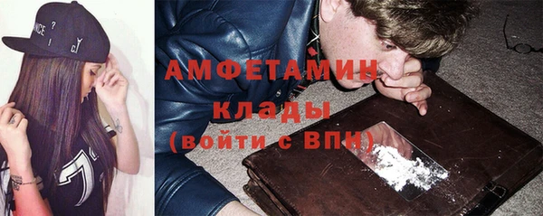дживик Инта