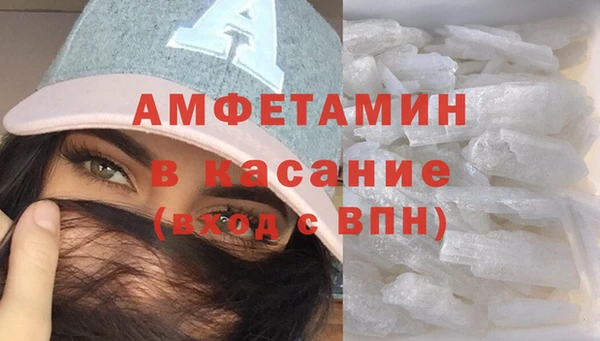 дживик Инта