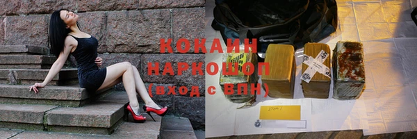 дживик Инта