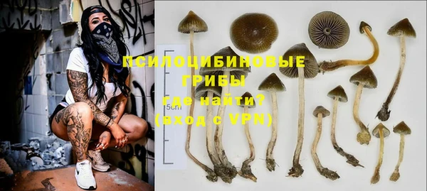 сатива Иннополис