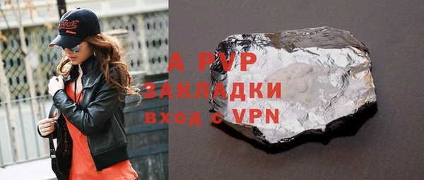 дживик Инта
