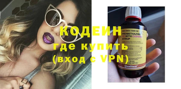дживик Инта