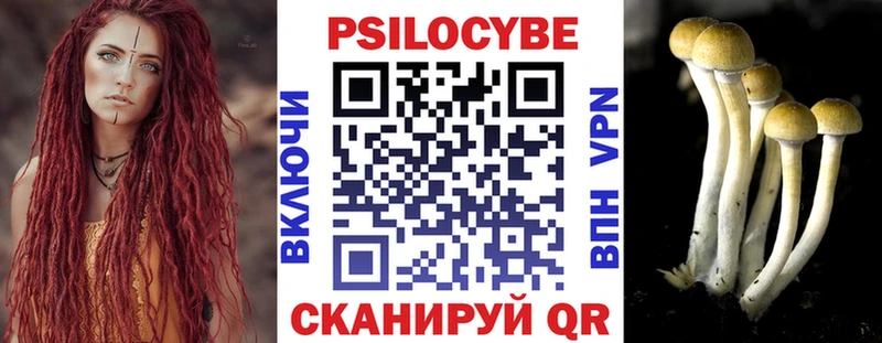 Купить где Рославль Галлюциногенные грибы MAGIC MUSHROOMS